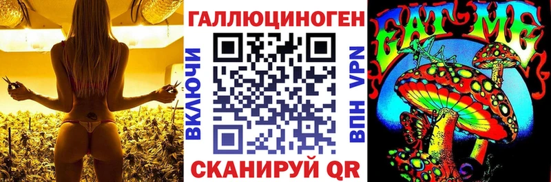 Псилоцибиновые грибы Psilocybine cubensis  что такое   Микунь 